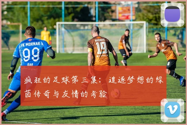 疯狂的足球第三集：追逐梦想的绿茵传奇与友情的考验