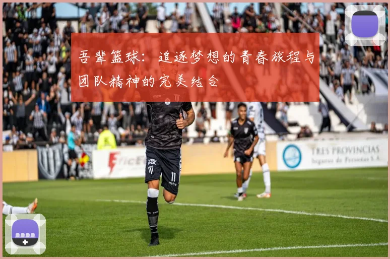 吾辈篮球：追逐梦想的青春旅程与团队精神的完美结合