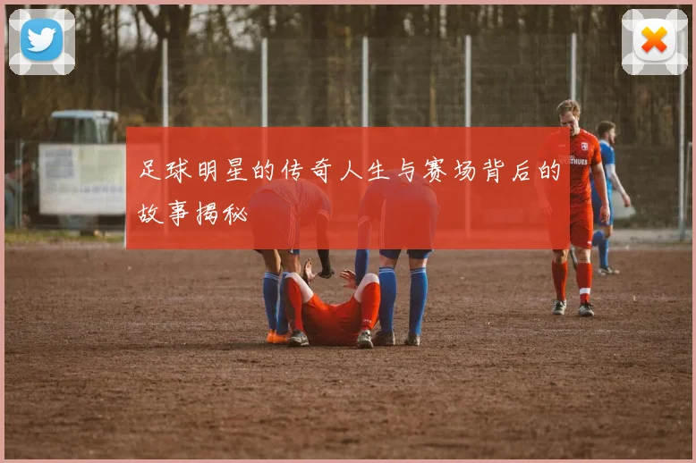 足球明星的传奇人生与赛场背后的故事揭秘
