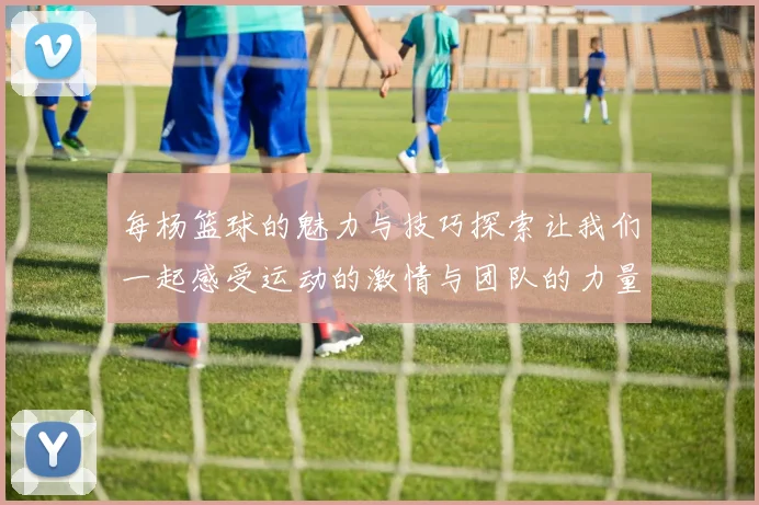 每杨篮球的魅力与技巧探索让我们一起感受运动的激情与团队的力量
